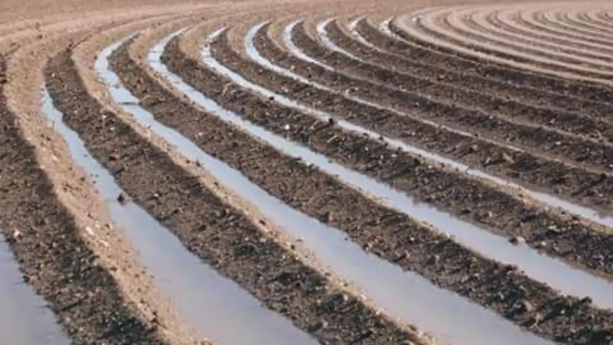 Estrategias para cuidar el agua